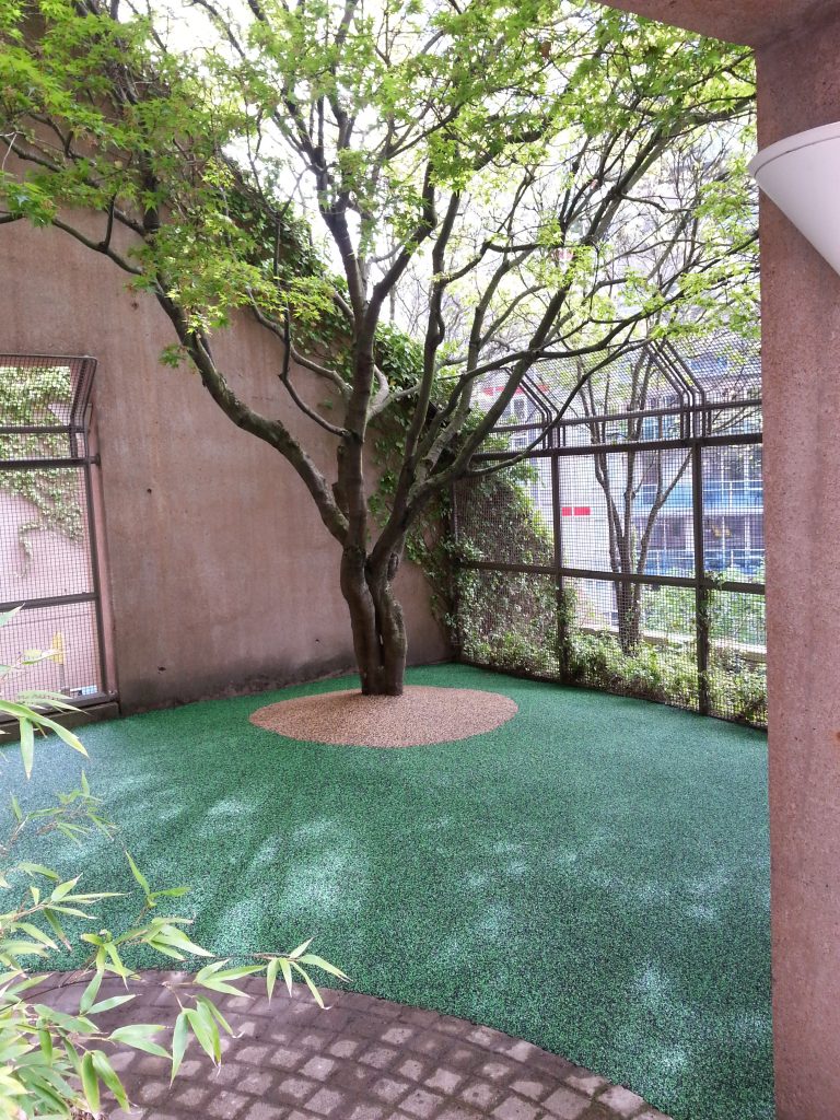 rubber courtyard